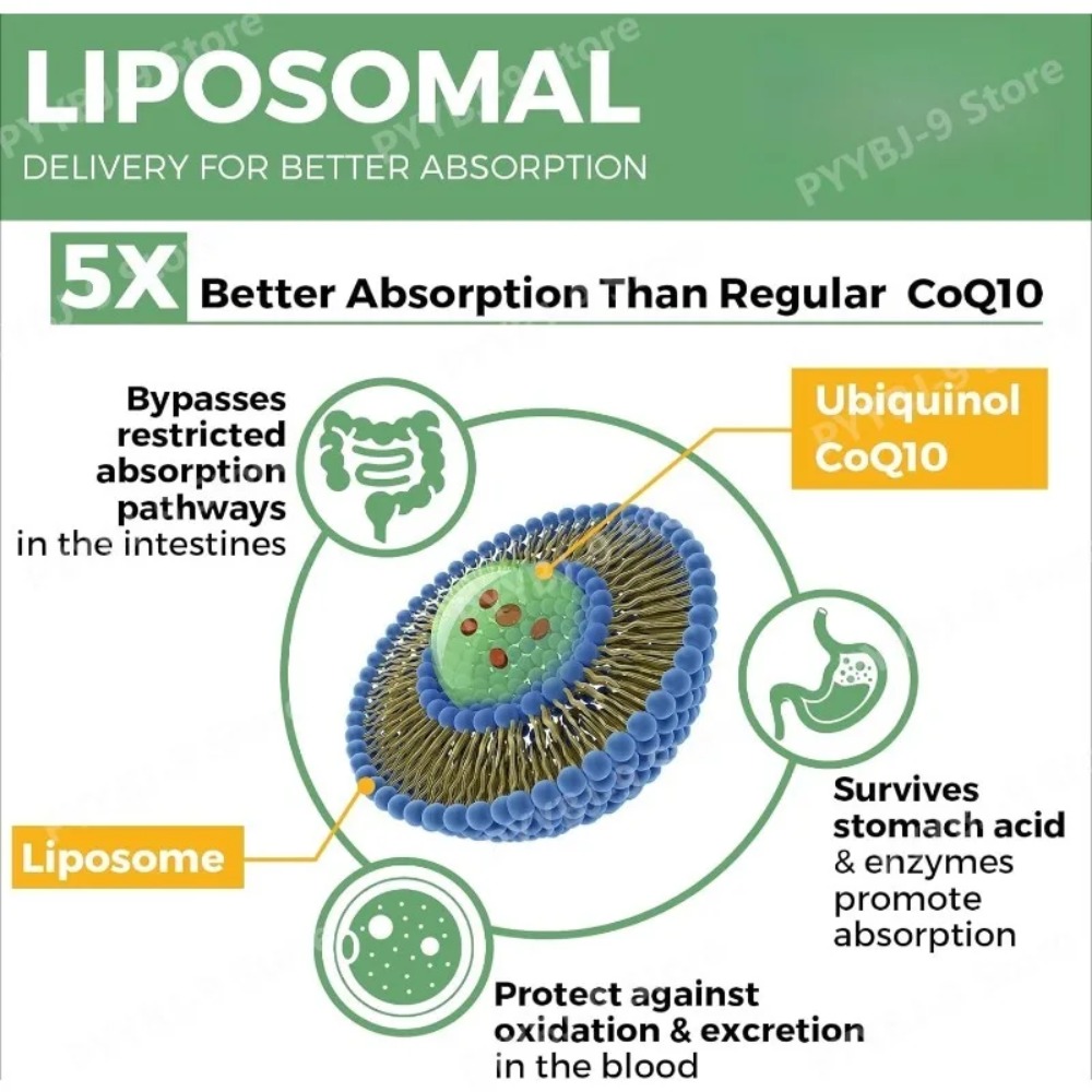코큐텐 유비퀴놀 1000mg 비건 소프트젤 60정, 리 - Coq10 Ubiquinol Softgel 리뷰 및 가격